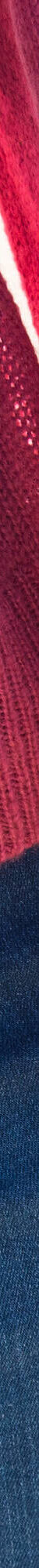 Pull col rond finitions écailles (bois de rose) Pull col rond finitions écailles (bois de rose)